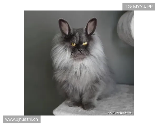 杨千霖今天咋穿得像去拍偶像剧，赛场上还真是个反差萌